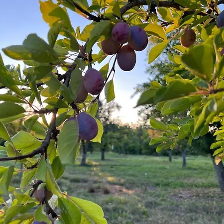 فندق مبيت وإفطار La Bastide Portoly 